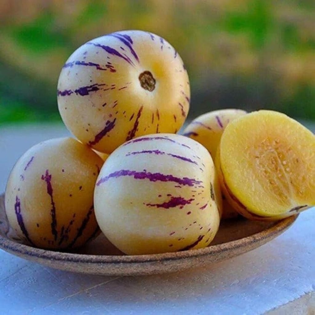 Pepino Melon Good Hill Farms Fruit: Melon, Pepino