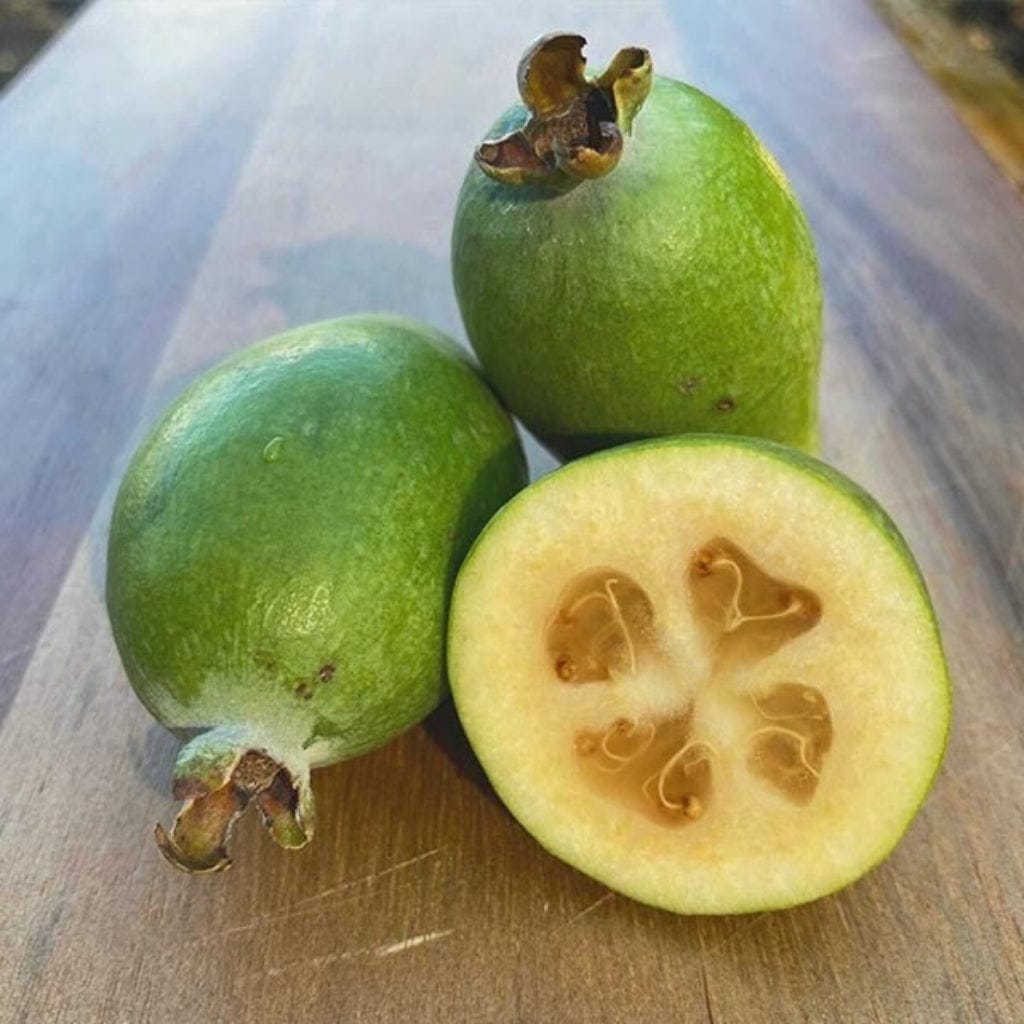 Pineapple Guava (Feijoa) Good Hill Farms Fruit: Guava, Pineapple