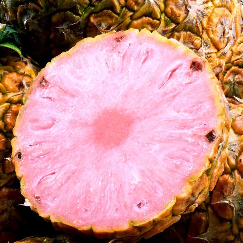 Pink Pineapple Good Hill Farms Fruit: Pineapple, Pink