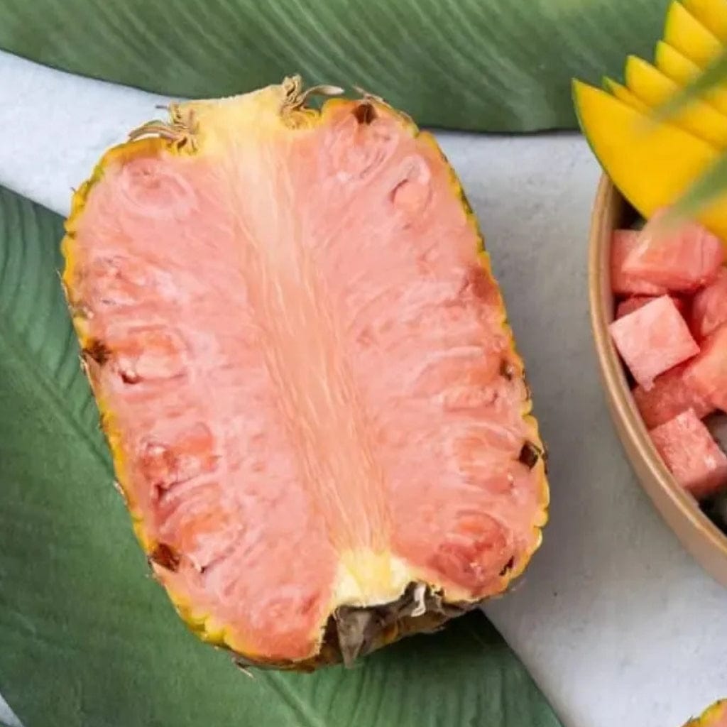 Pink Pineapple Good Hill Farms Fruit: Pineapple, Pink