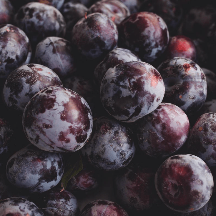 Plum Good Hill Farms Fruit: Plums