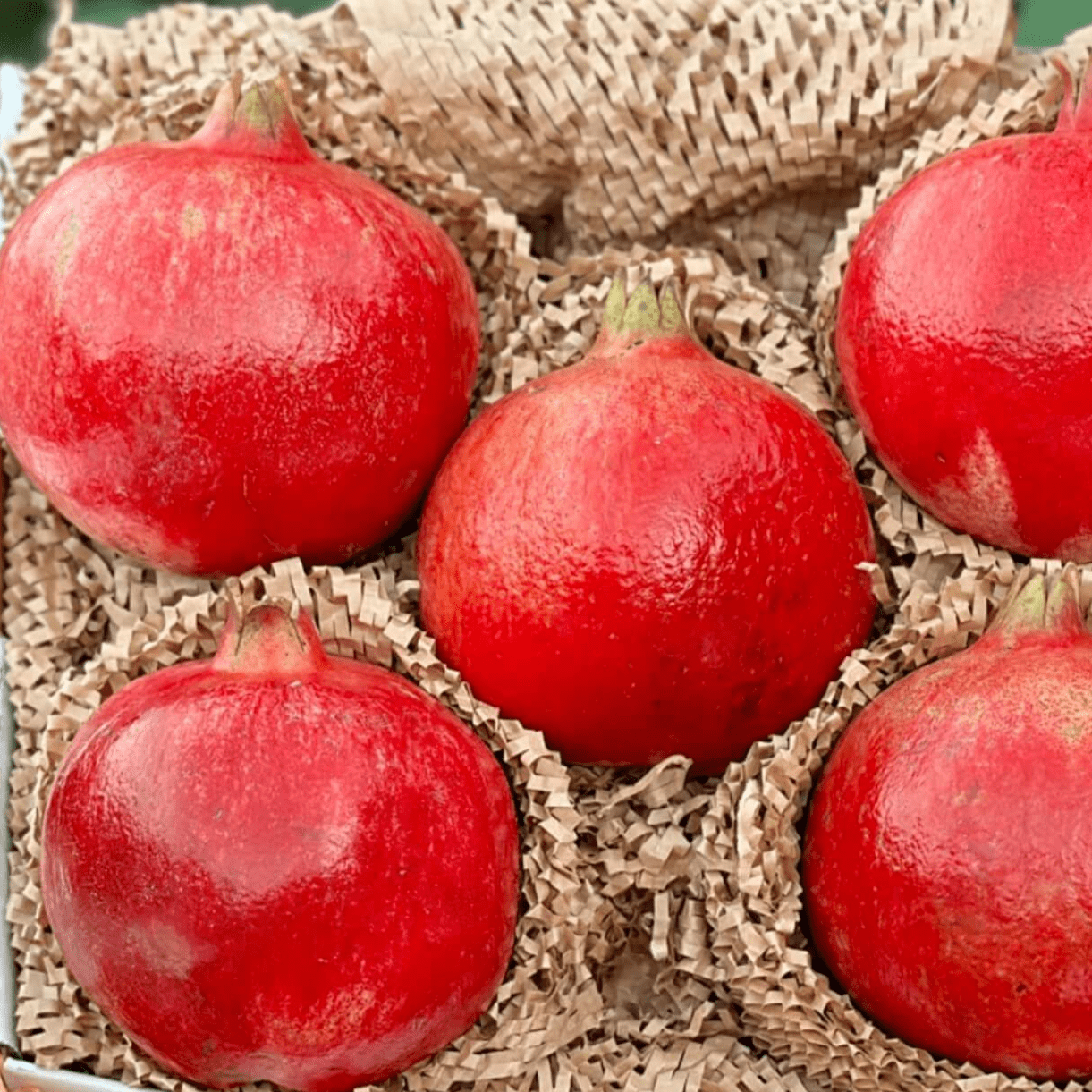 Pomegranate Good Hill Farms Fruit: Pomegranate