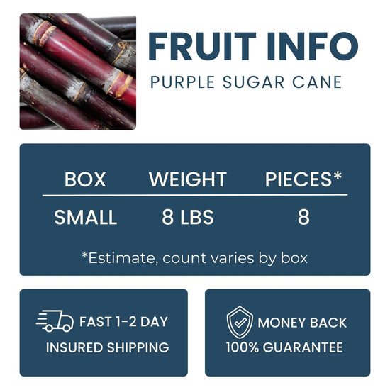 Purple Sugar Cane Good Hill Farms Fruit: Sugar Cane, Purple