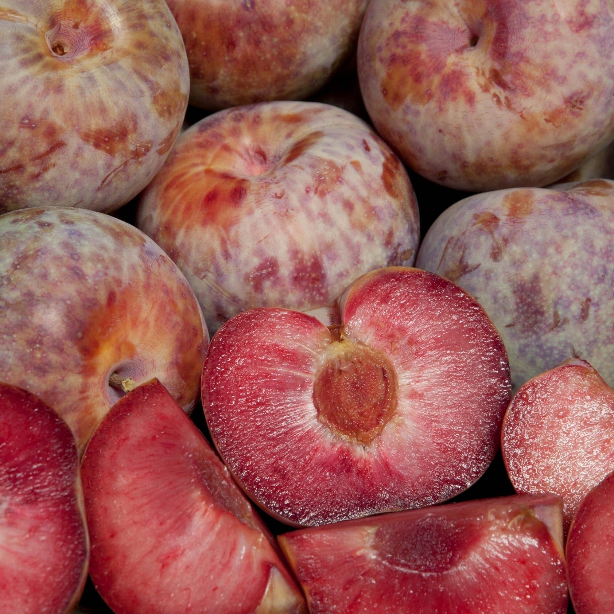 Red Plumcots Good Hill Farms Fruit: Plumcot, Red