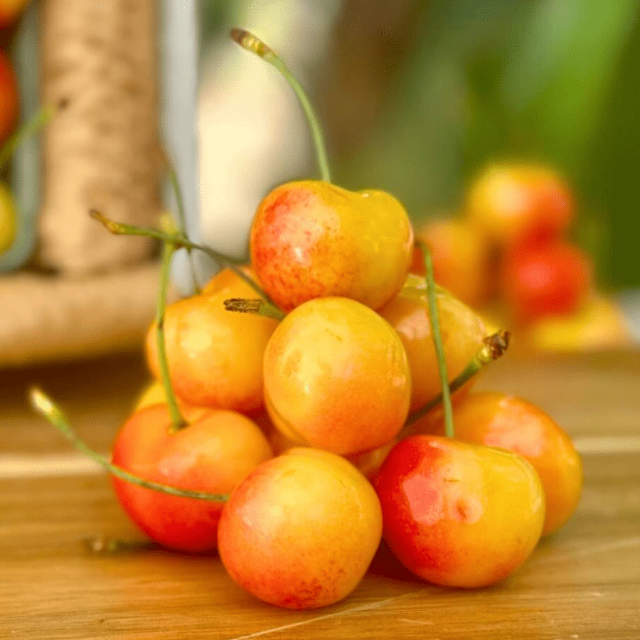 Stone Fruit Variety Box Good Hill Farms Mix Box: Stone Fruit, Variety