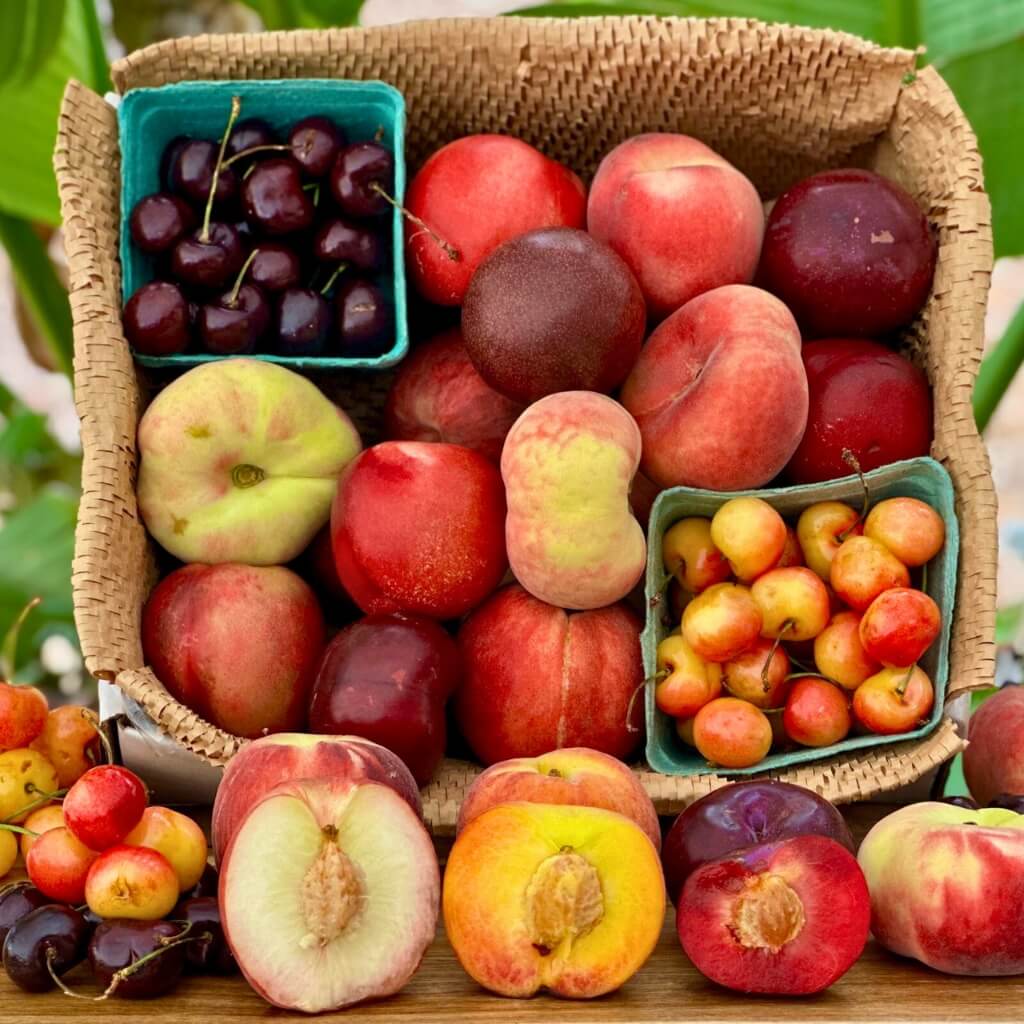 Stone Fruit Variety Box Good Hill Farms Mix Box: Stone Fruit, Variety