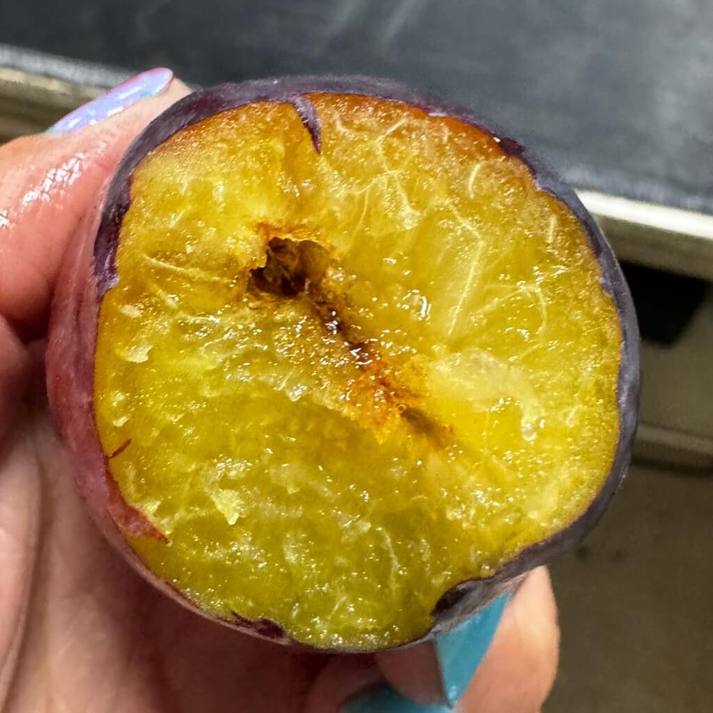 Sugar Plum Good Hill Farms Fruit: Plum, Sugar