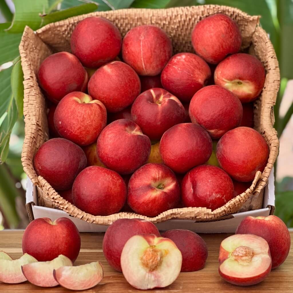 White Peach Good Hill Farms Fruit: Peaches