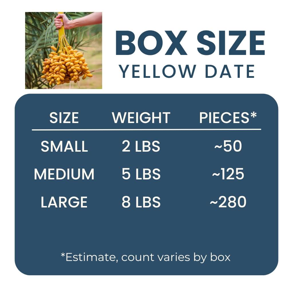 Yellow Barhi Dates Good Hill Farms Fruit: Date, Yellow