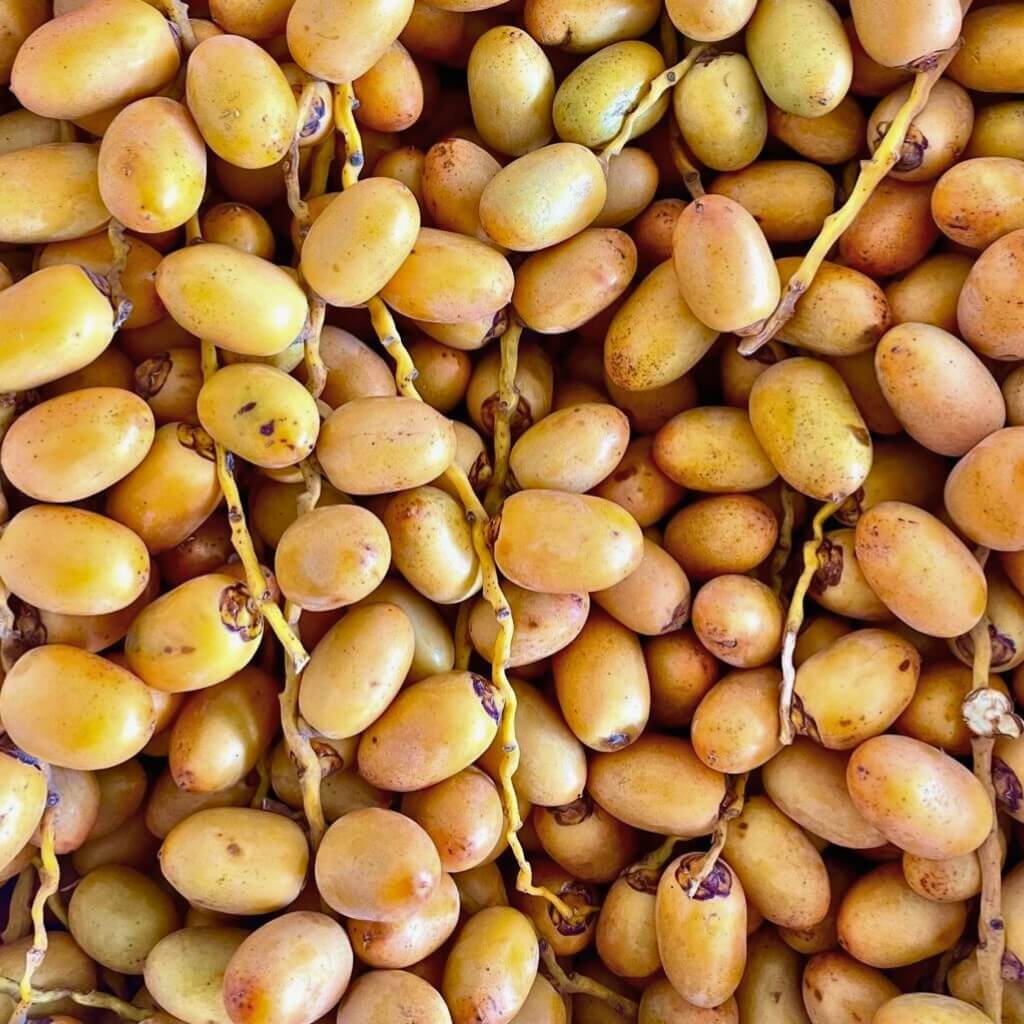 Yellow Barhi Dates Good Hill Farms Fruit: Date, Yellow