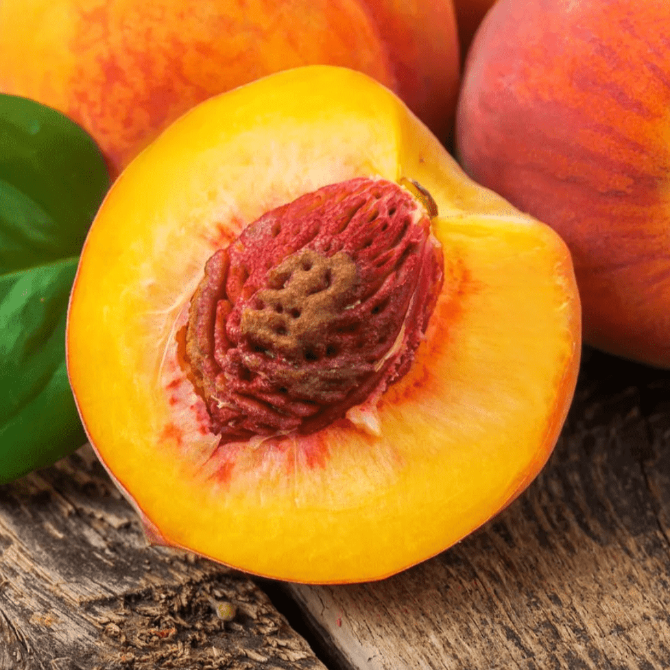 Yellow Peach Good Hill Farms Fruit: Peaches, Yellow
