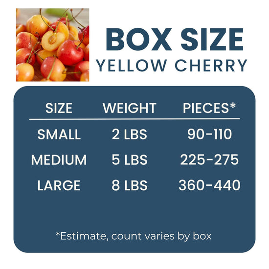 Yellow Rainier Cherry Good Hill Farms Fruit: Cherry, Yellow