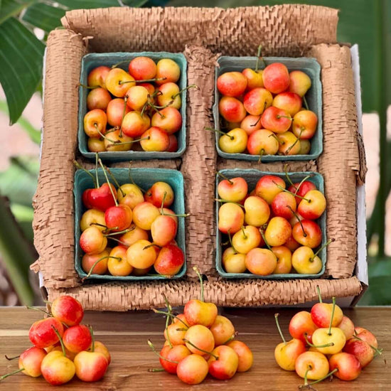 Yellow Rainier Cherry Good Hill Farms Fruit: Cherry, Yellow