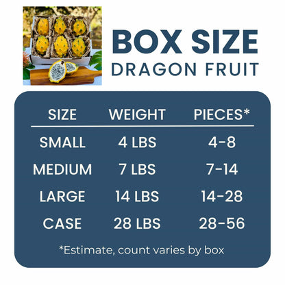 Yellow Dragon Fruit (Pitaya)