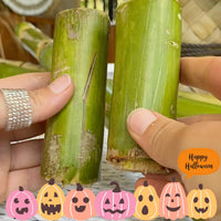 $35 FREE Sugar Cane Gift Good Hill Farms Fruit: Sugar Cane, Green