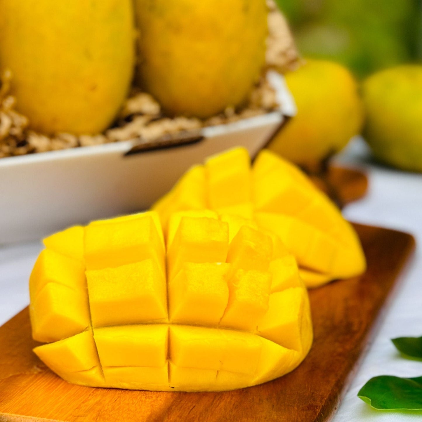 Healthy Superfruit Bundle