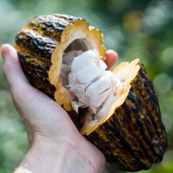 $79 FREE Fresh Cacao Gift Good Hill Farms Fruit: Cacao