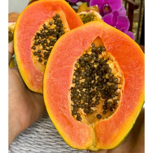 Papaya