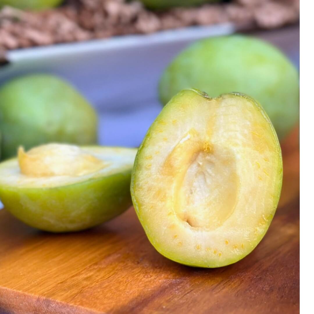 White Sapote