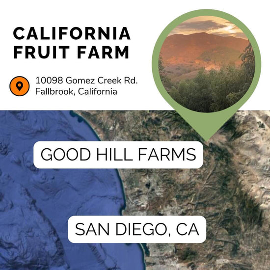 California_Fruit_Farm