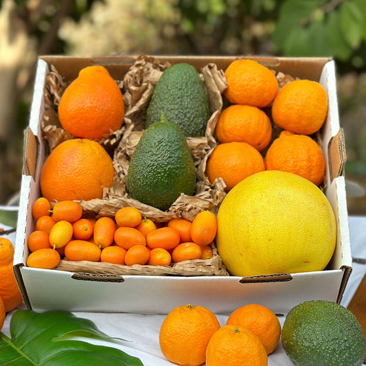 California Classics Fruit Box