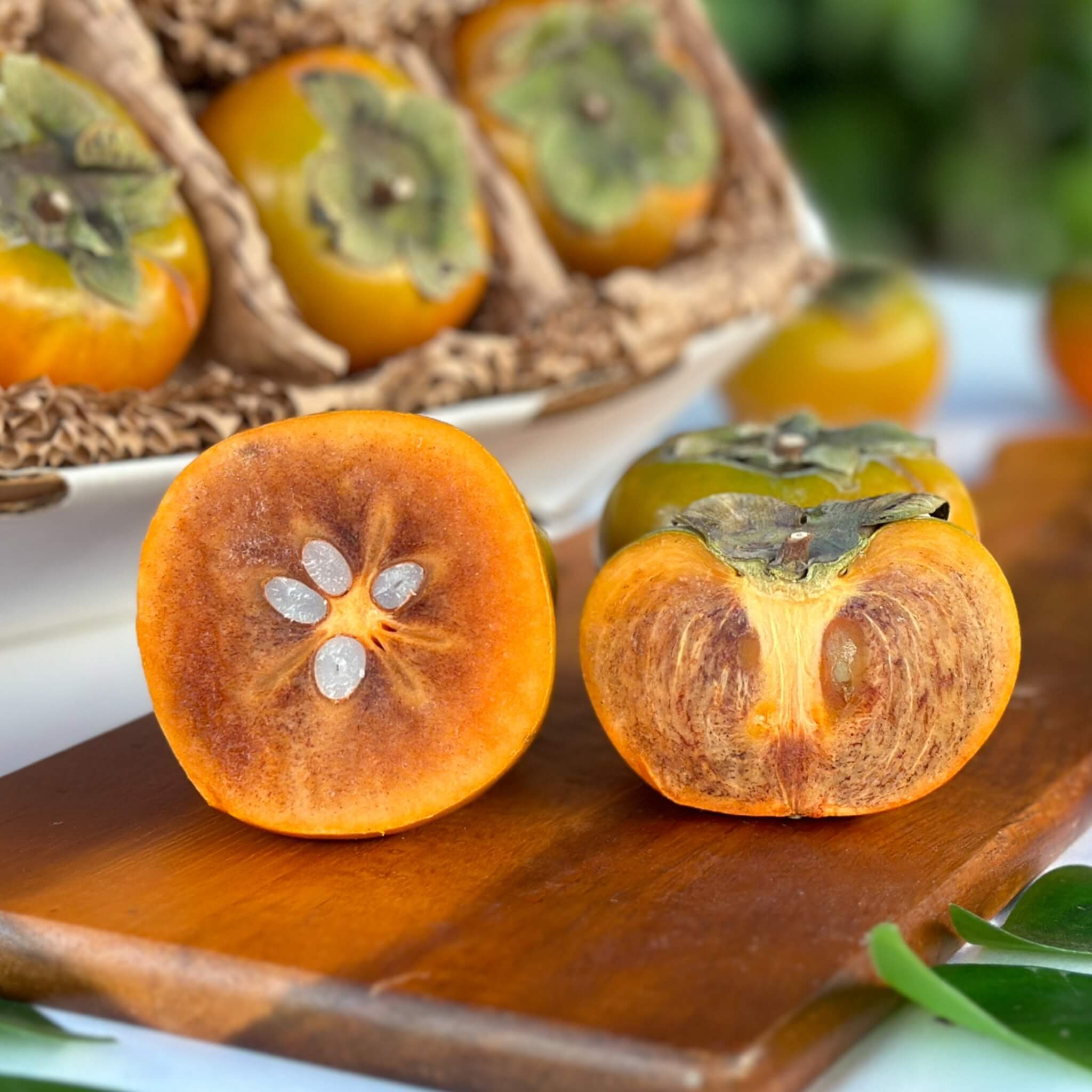 Chocolate Persimmon