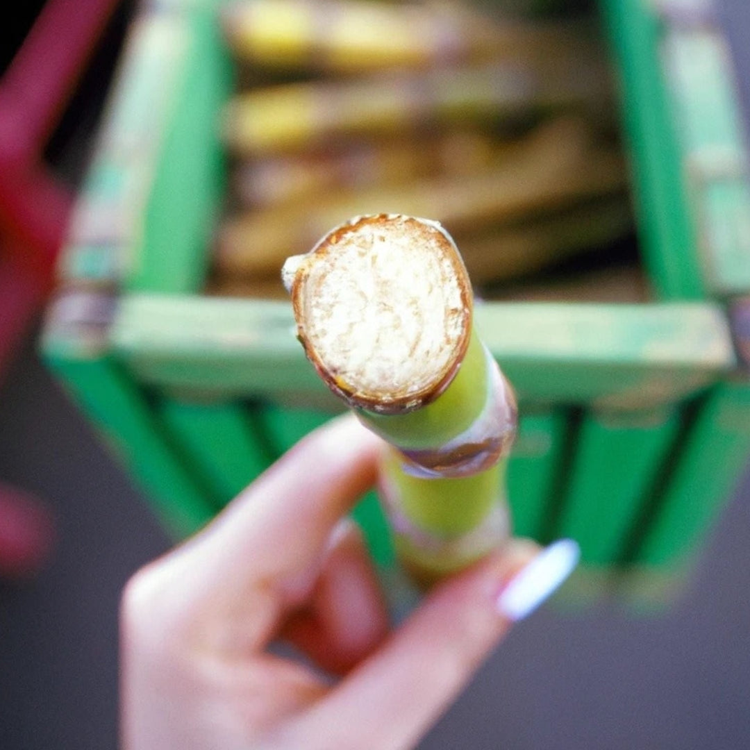 Raw Whole Sugar Cane