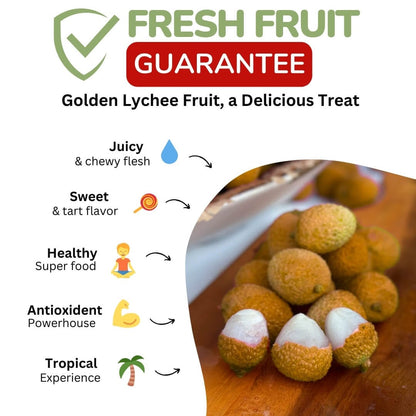 Golden Lychee Fruit