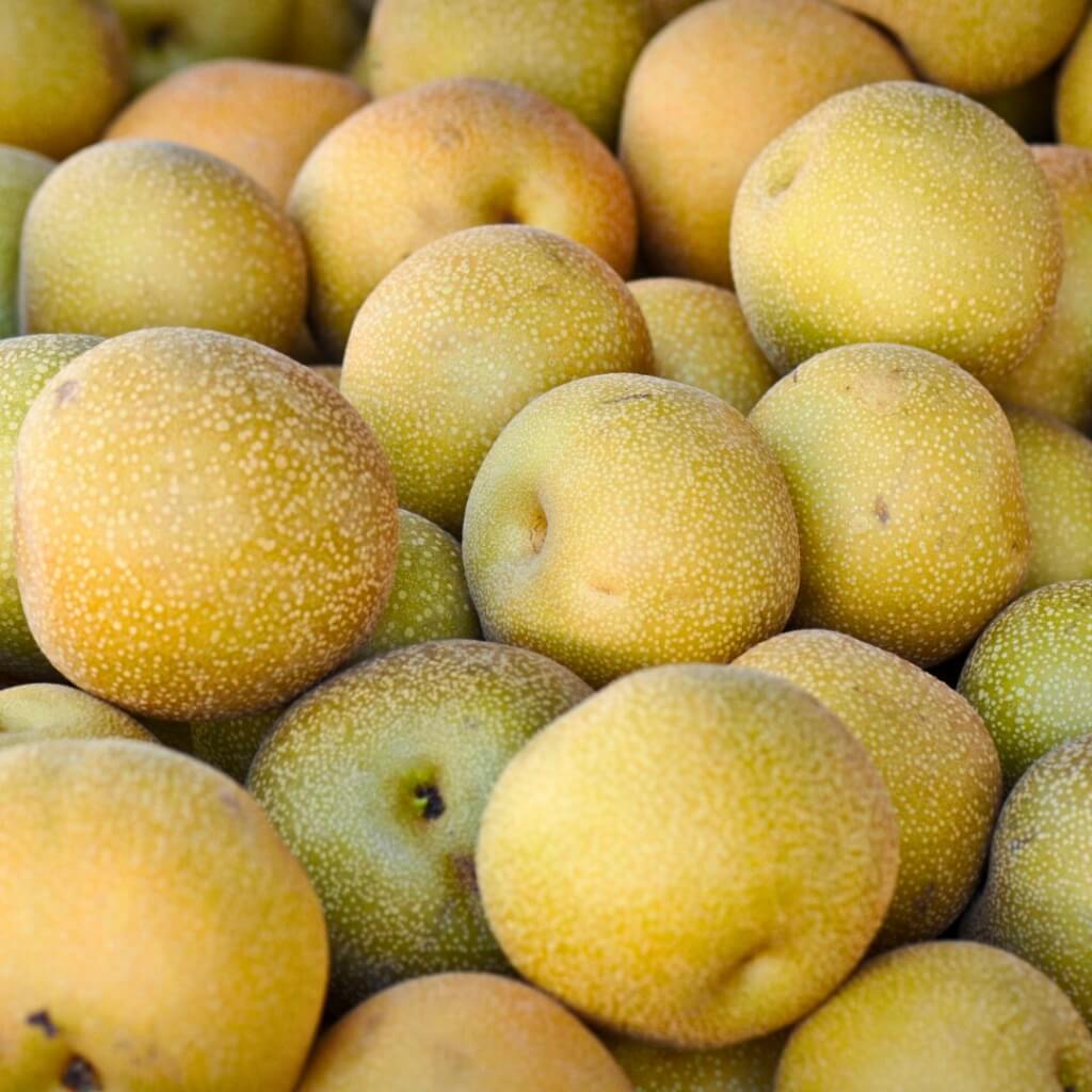 Asian Pear Good Hill Farms Fruit: Asian Pear