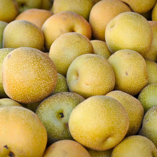 Asian Pear Good Hill Farms Fruit: Asian Pear