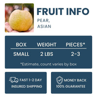 Asian Pear Good Hill Farms Fruit: Asian Pear