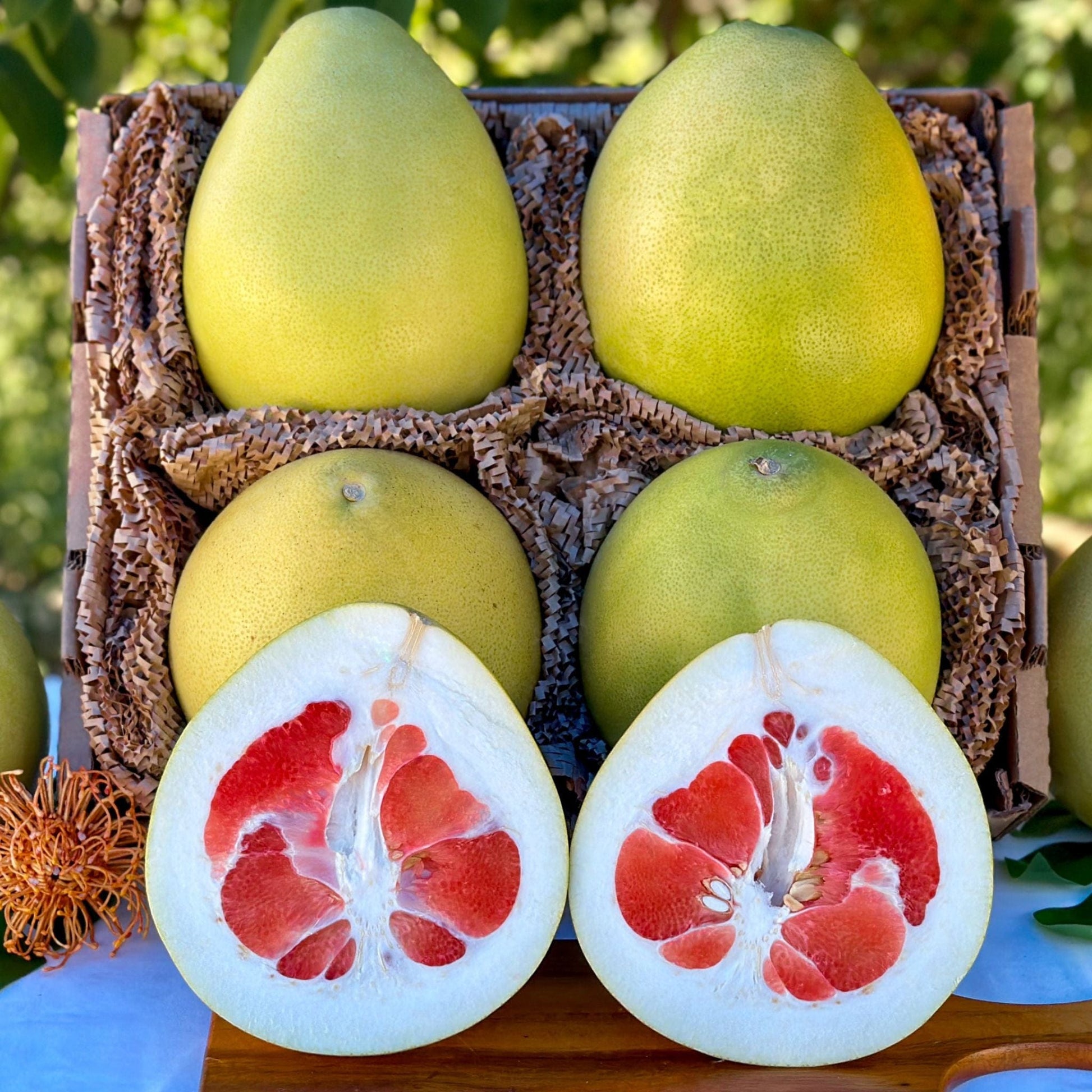 Asian Pomelo Fruit Good Hill Farms Fruit: Pomelo, Red