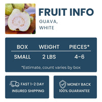 Asian White Guava Good Hill Farms Fruit: Guava, Thai White