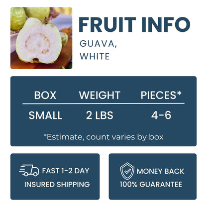 Asian White Guava Good Hill Farms Fruit: Guava, Thai White