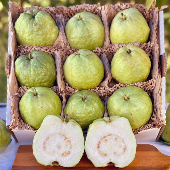 Asian White Guava (Guayaba) Good Hill Farms Fruit: Guava, Thai White