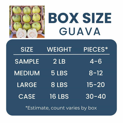 Asian White Guava (Guayaba) Good Hill Farms Fruit: Guava, Thai White