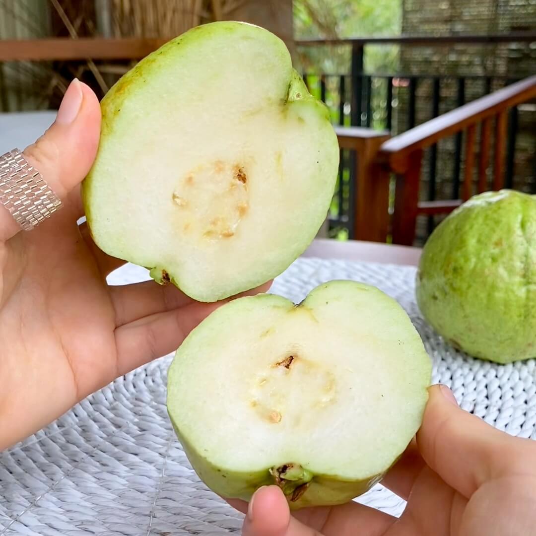 Asian White Guava (Guayaba) Good Hill Farms Fruit: Guava, Thai White