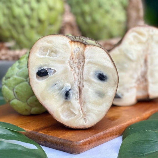 Atemoya (Soursop + Cherimoya Hybrid) Good Hill Farms Fruit: Atemoya