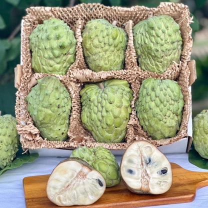 Atemoya (Soursop + Cherimoya Hybrid) Good Hill Farms Fruit: Atemoya