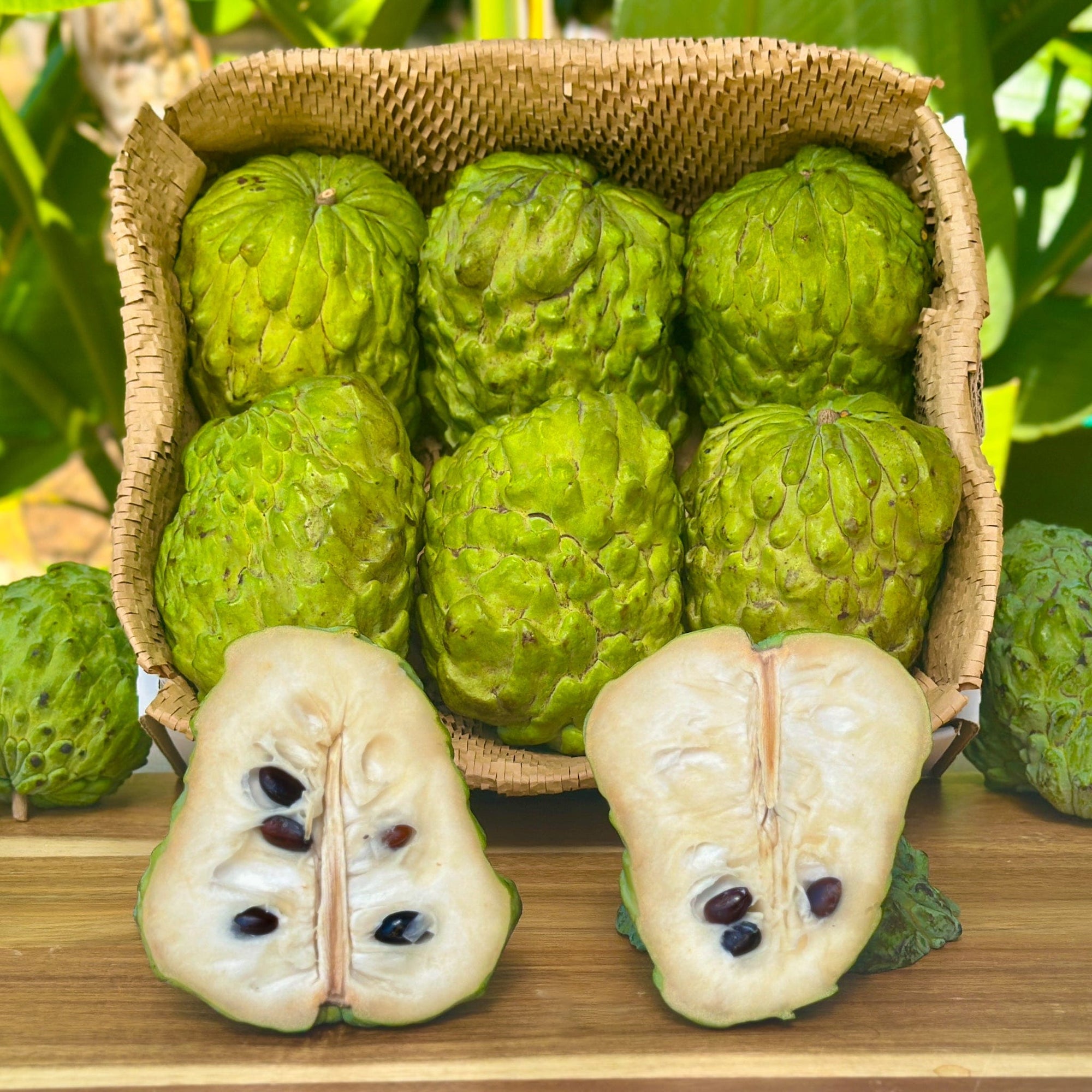 Atemoya (Sugar Apple + Cherimoya Hybrid) Good Hill Farms Fruit: Atemoya