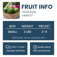 Avocado Variety Good Hill Farms Mix Box: Avocado, Variety
