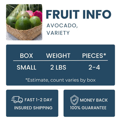 Avocado Variety Good Hill Farms Mix Box: Avocado, Variety