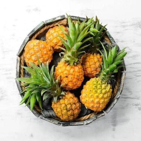 Baby Pineapple Good Hill Farms Fruit: Pineapple, Baby