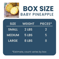 Baby Pineapple Good Hill Farms Fruit: Pineapple, Baby
