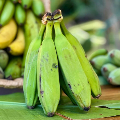 Banana Variety Box Good Hill Farms Mix Box: Banana, Variety