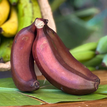 Banana Variety Box Good Hill Farms Mix Box: Banana, Variety
