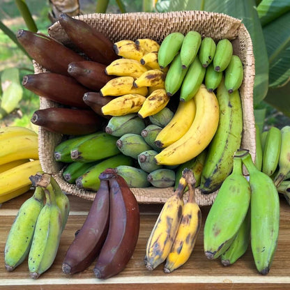 Banana Variety Box Good Hill Farms Mix Box: Banana, Variety