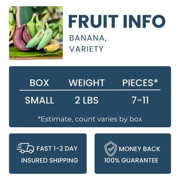 Banana Variety Good Hill Farms Mix Box: Banana, Variety