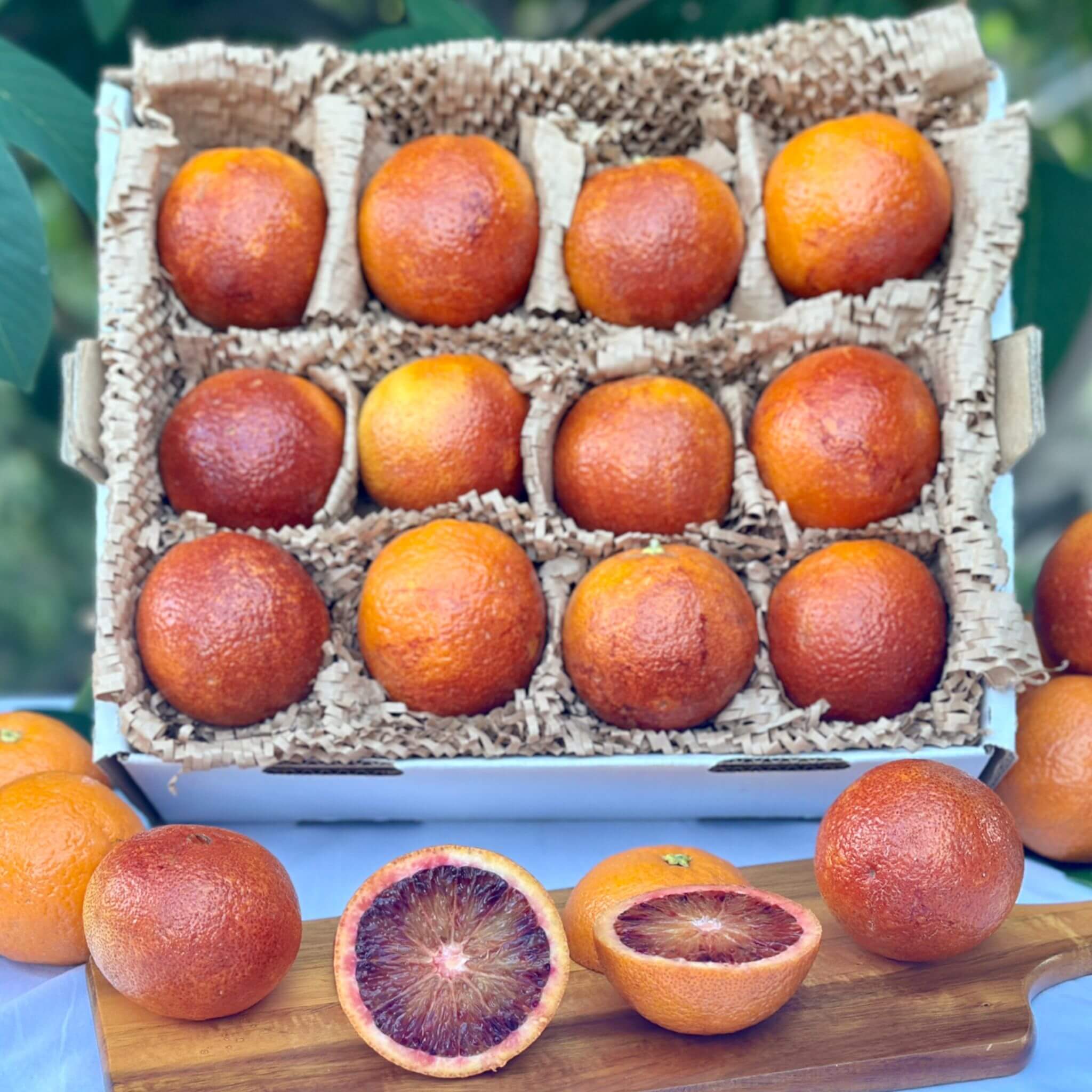 Blood Raspberry Naval Blood Orange (Raspberry) – Good Hill Farms