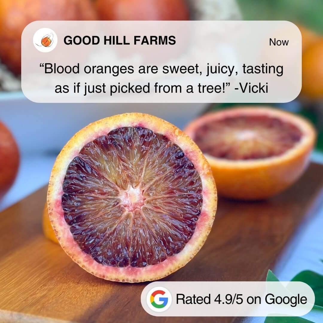 Blood Orange (Raspberry) Good Hill Farms Fruit: Blood Orange